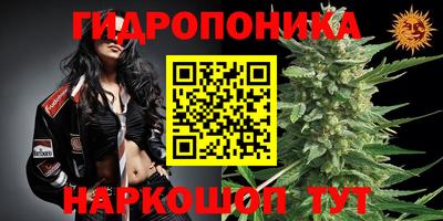 соль ск Будённовск