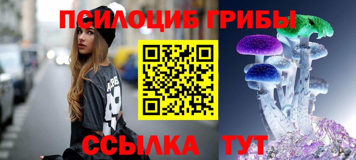 Псилоцибиновые грибы Cubensis Новокубанск