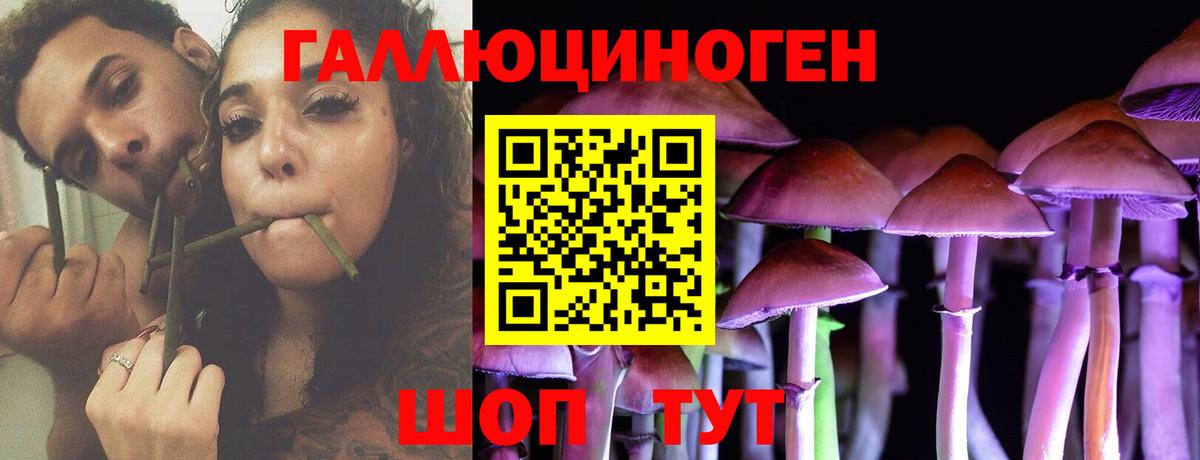 Галлюциногенные грибы мухоморы  Вход с VPN  Новокубанск  Галлюциногенные грибы мицелий 